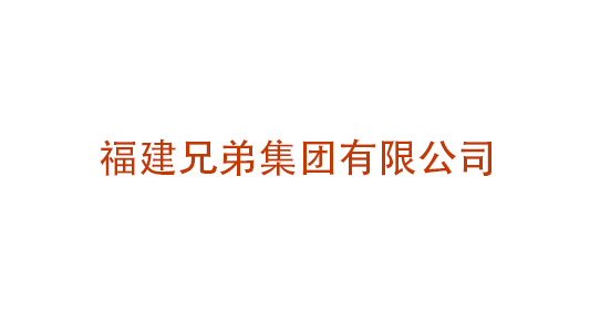 福建兄弟集团有限公司集团化管控体系设计